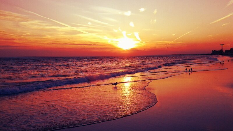 Seagulls on Beach — Orange, Dramatic, Sunset, Photograph