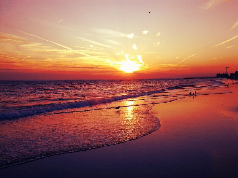 Seagulls on Beach — Orange, Serene, Sunset, Photograph