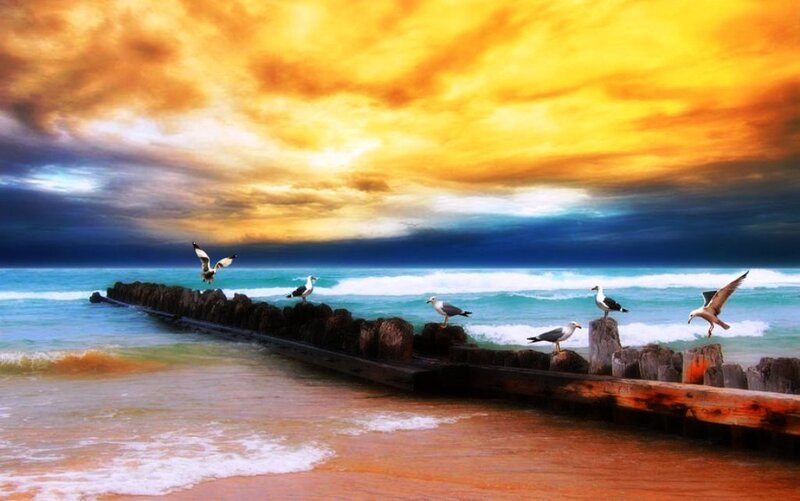 Seagulls on Pier — Yellow, Dramatic