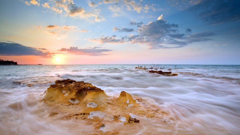 Seagulls on Rocks — Blue, Serene, Sunset, Photograph