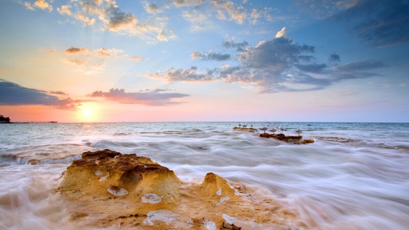 Seagulls on Rocks — Blue, Serene, Sunset
