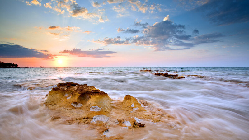 Seagulls on Rocks — Blue