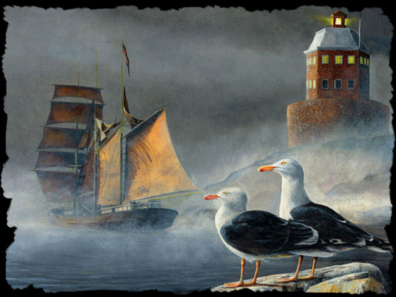 Seagulls on Rocks
