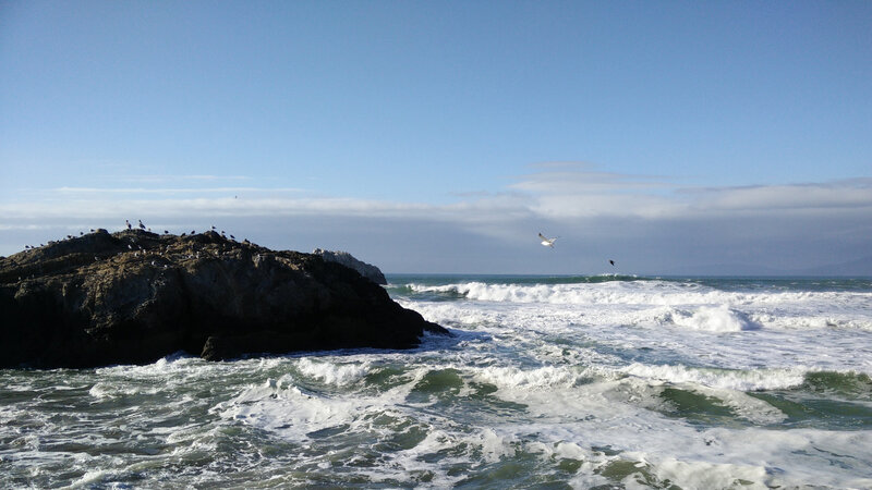 Seagulls on Rocky Outcrop