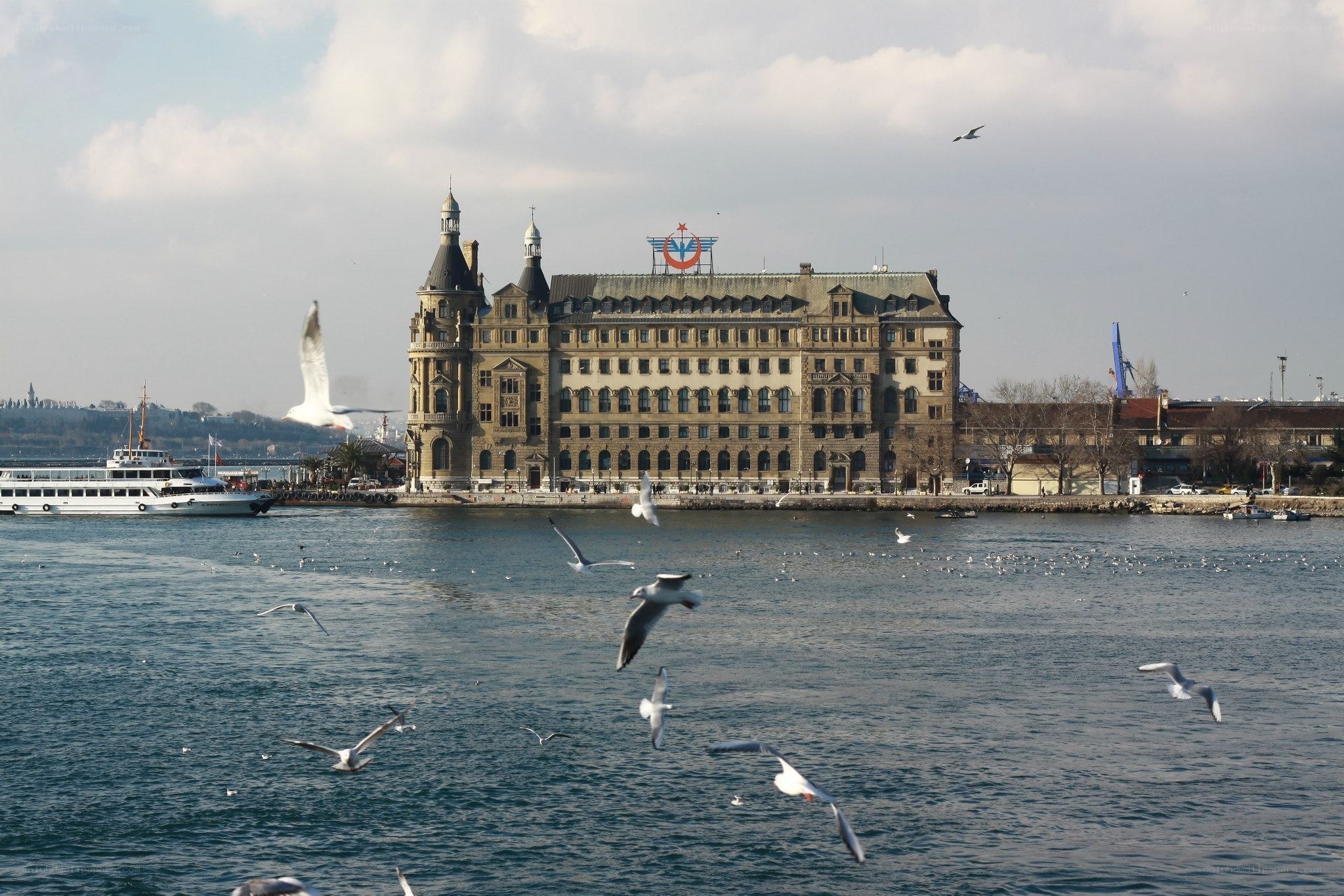 Seagulls over a historic building