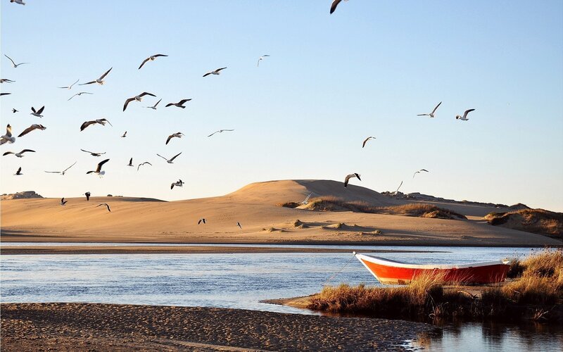 Seagulls over a river and dunes