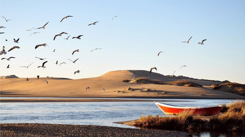 Seagulls over a river and sand dunes