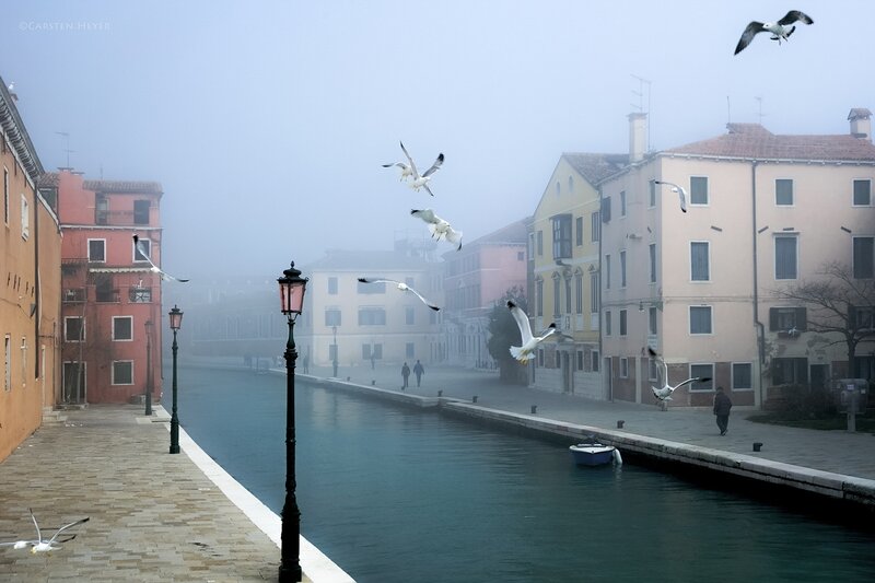 Seagulls over Canal