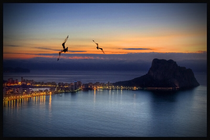 Seagulls over coastal city at dusk
