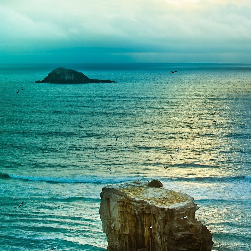 Seagulls over coastal cliffs
