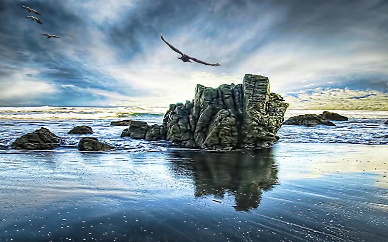 Seagulls over coastal rocks