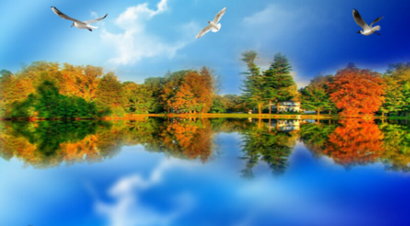 Seagulls over Lake — Blue