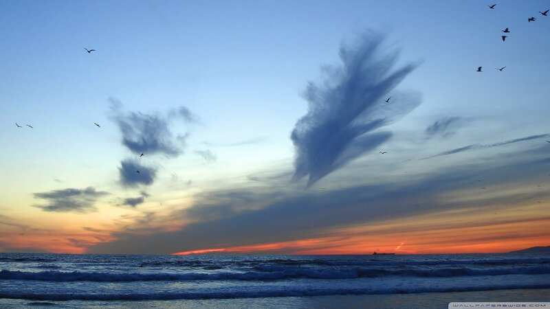 Seagulls over Ocean — Blue, Serene