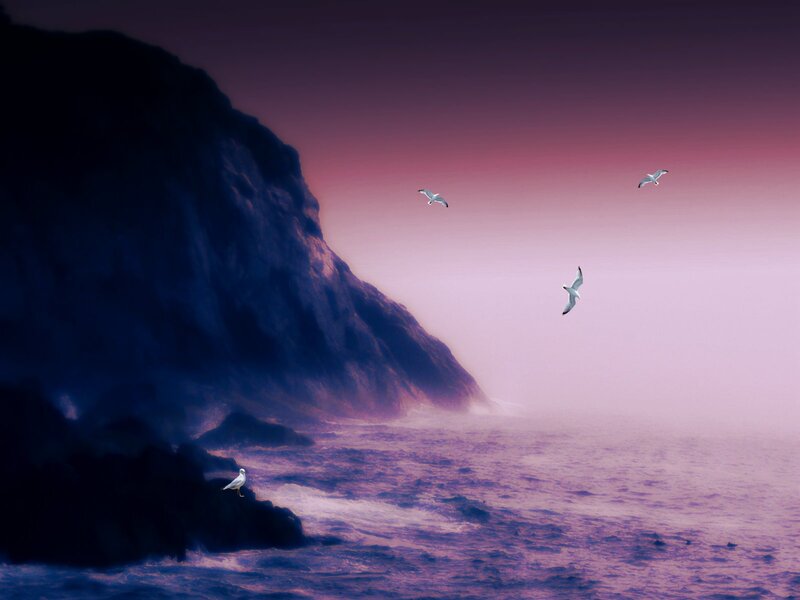 Seagulls over Ocean — Purple