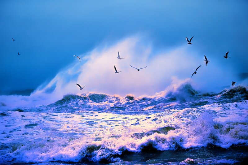 Seagulls over Ocean Waves — Blue, Dramatic, Sunset