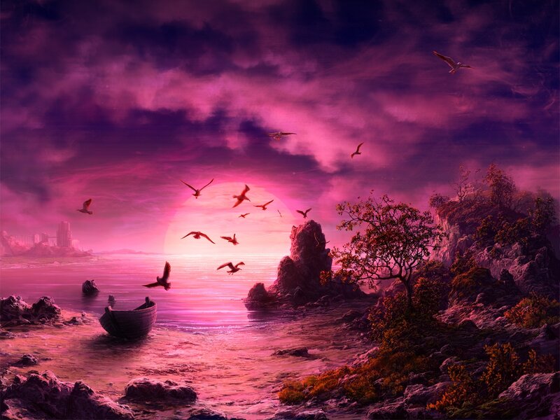Seagulls over Pink Sea