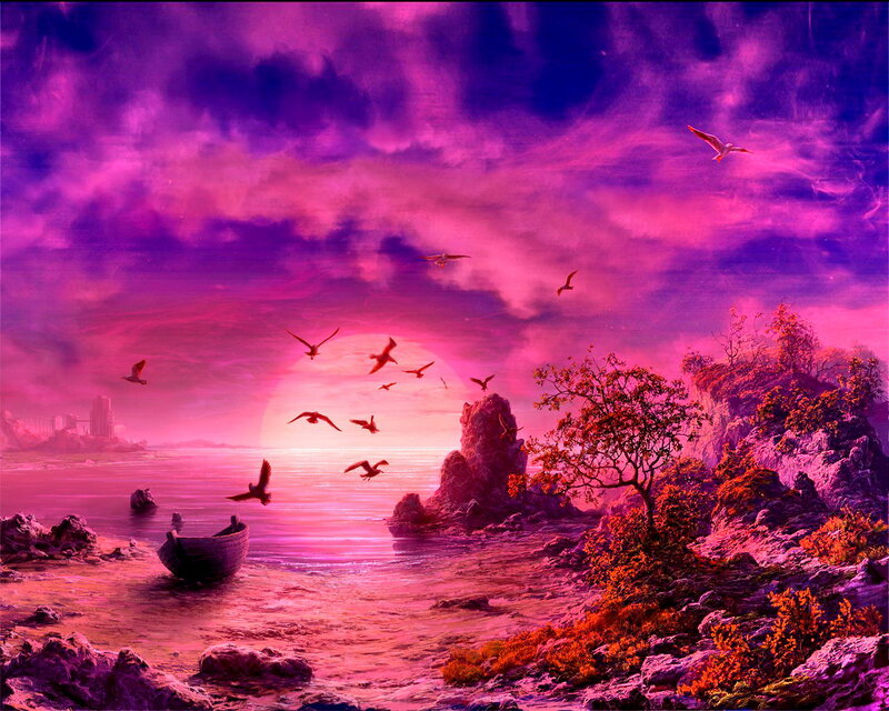 Seagulls over Pink Sunset