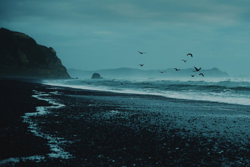 Seagulls over Rocky Beach