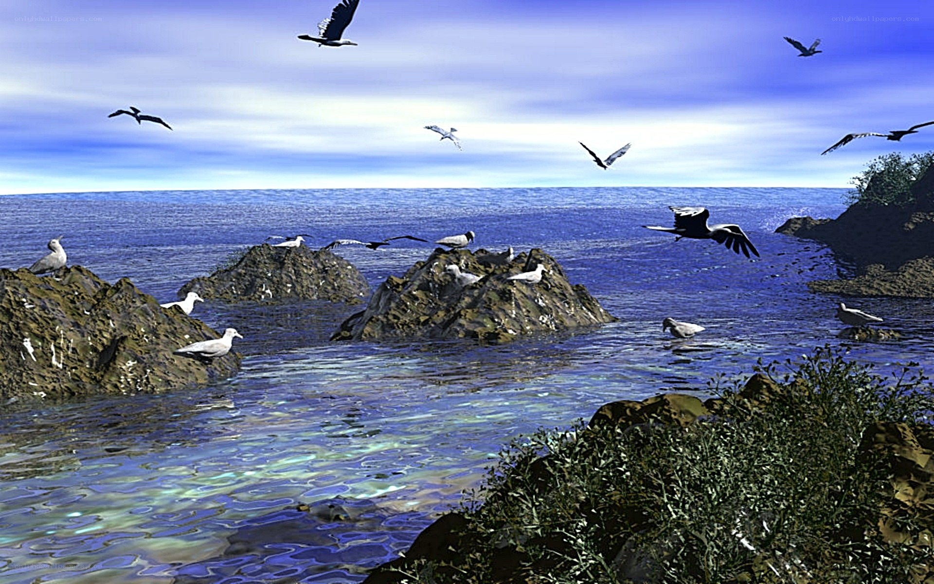 Seagulls over rocky coastline
