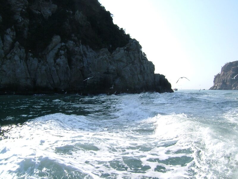 Seagulls over rocky coastline