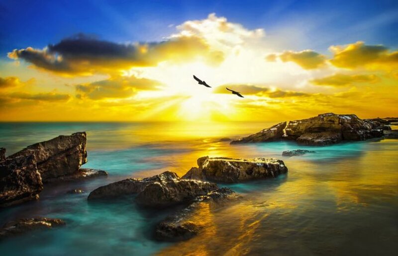 Seagulls over Rocky Shore — Blue, Dramatic, Sunset