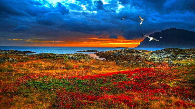 Seagulls over Rocky Shore — Blue, Dramatic