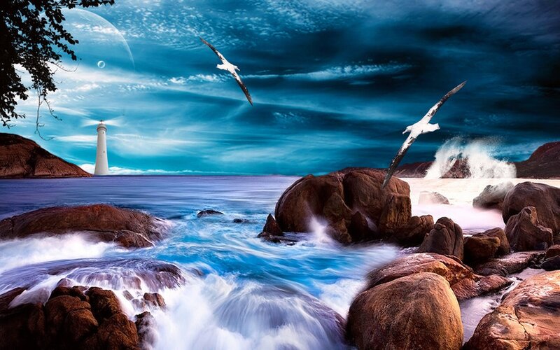 Seagulls over Rocky Shore — Blue
