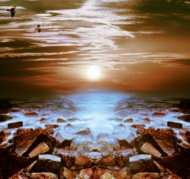 Seagulls over Rocky Shore — Orange