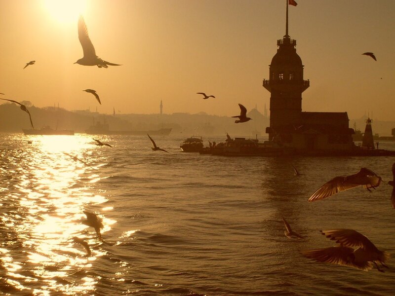 Seagulls over Sea — Gold, Serene