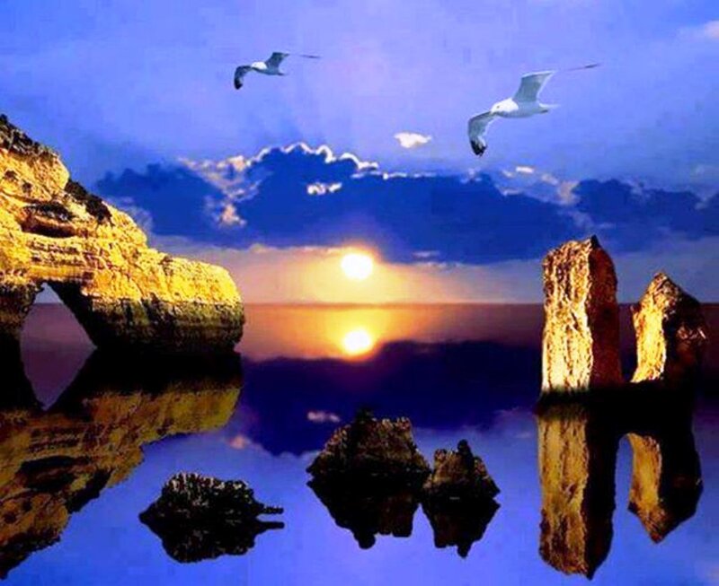 Seagulls over Sea Rocks