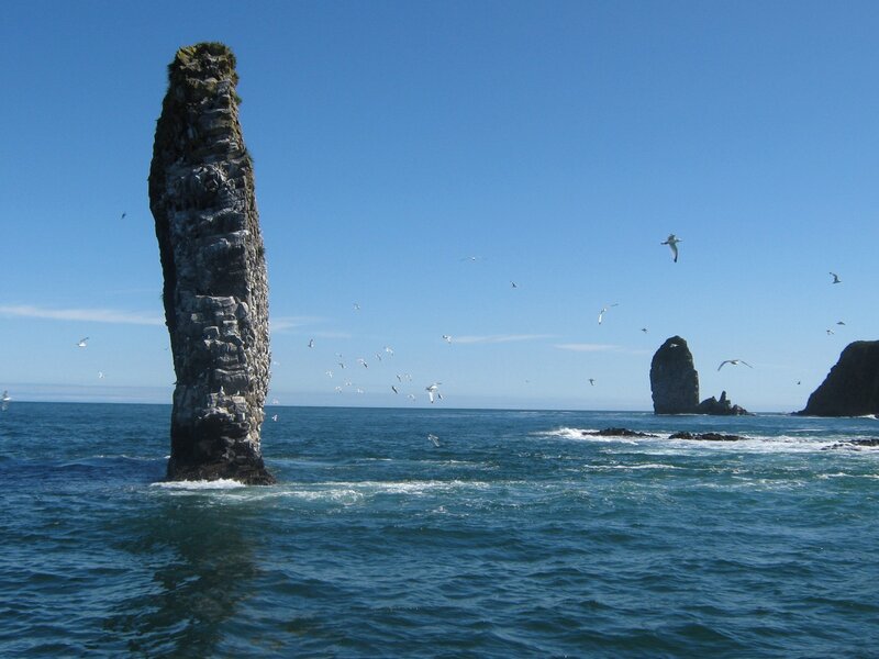 Seagulls over sea stacks
