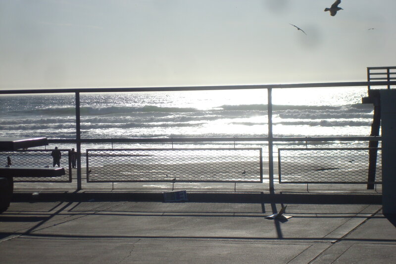 Seagulls over the ocean pier