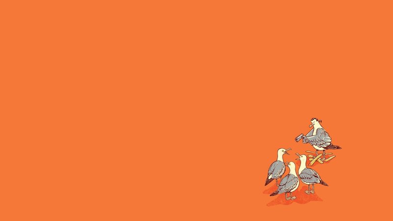seagulls with fries