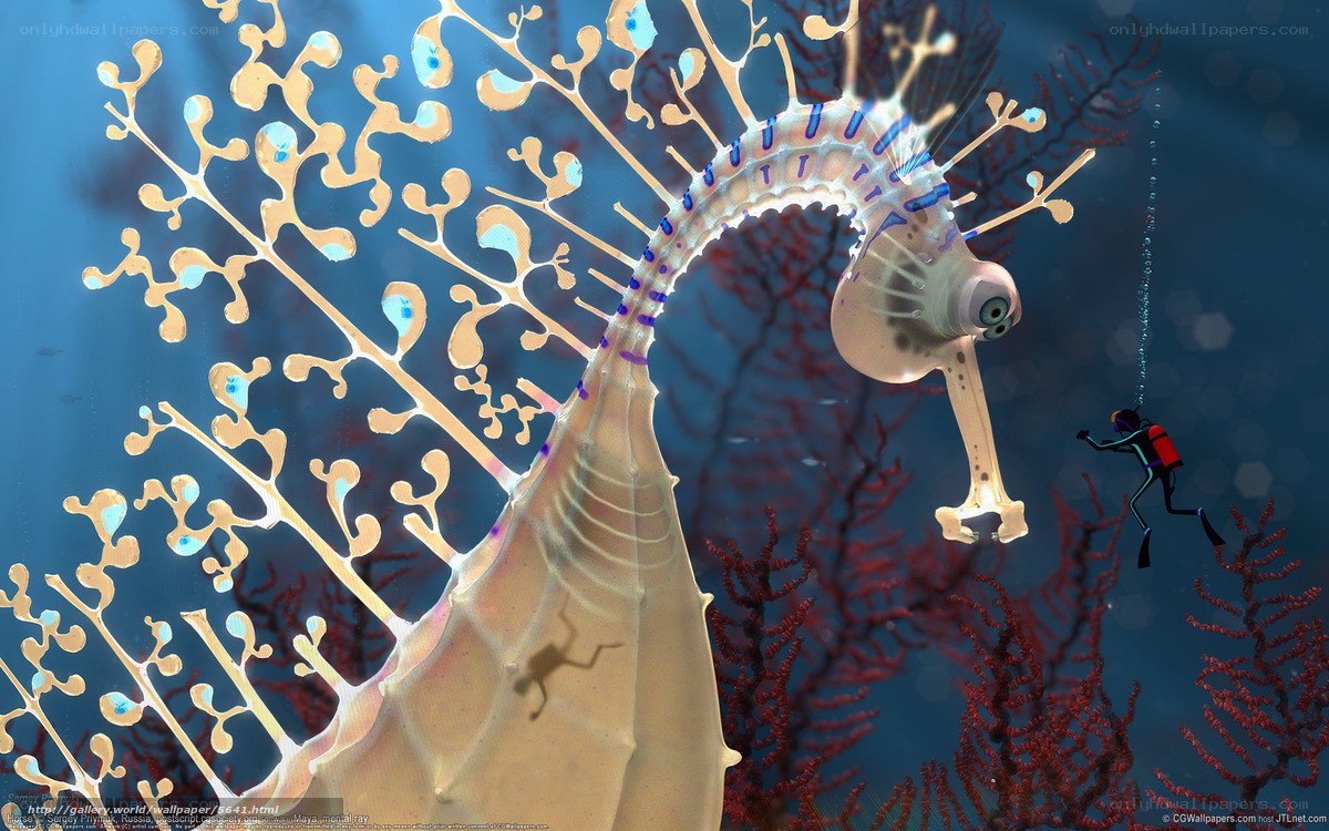 Seahorse and diver underwater