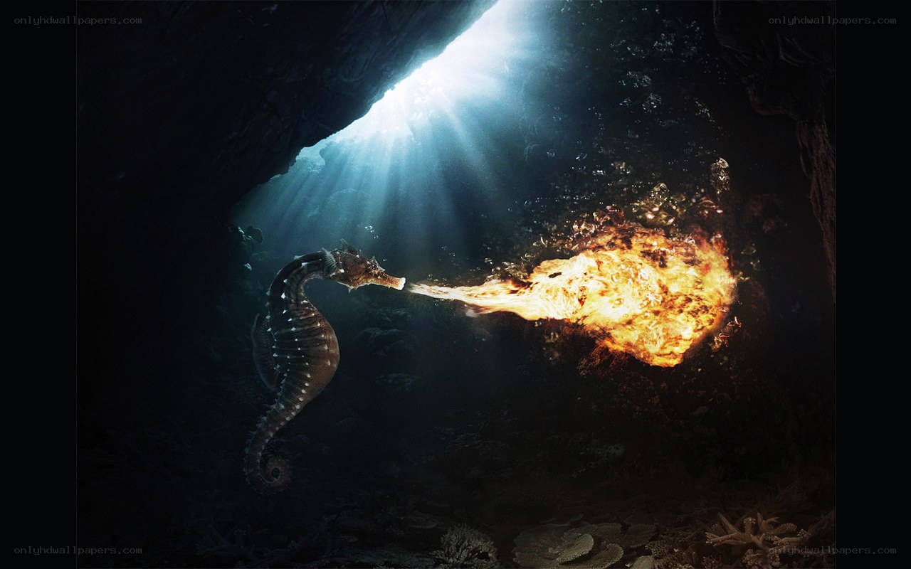 Seahorse breathing fire underwater