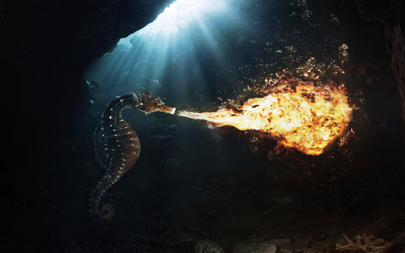 Seahorse breathing fire underwater