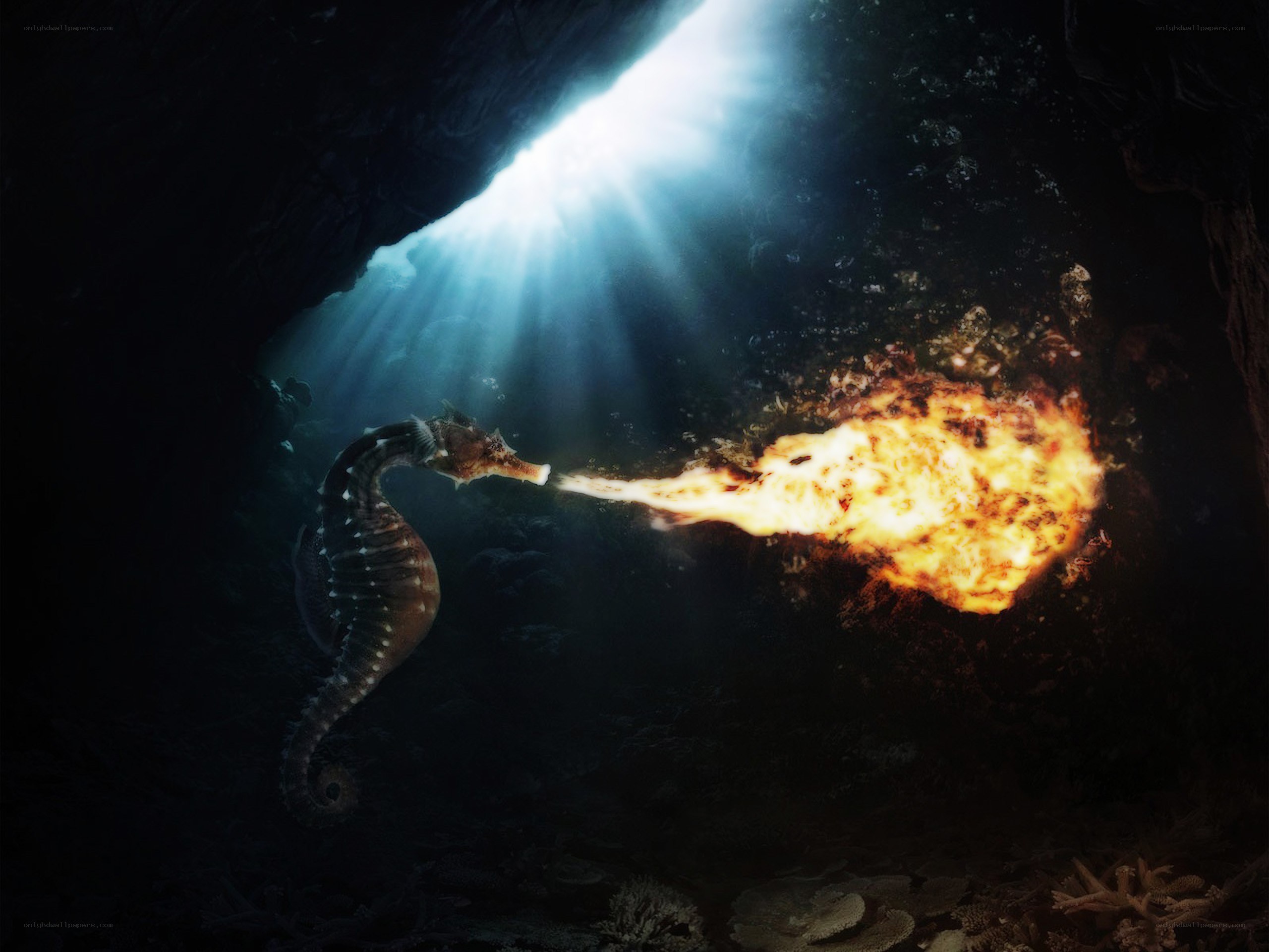 seahorse breathing fire underwater