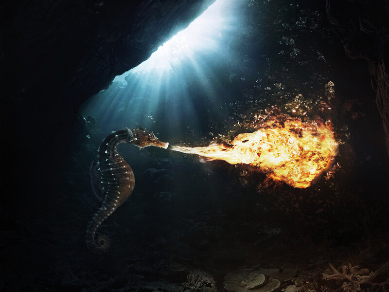 Seahorse breathing fire underwater