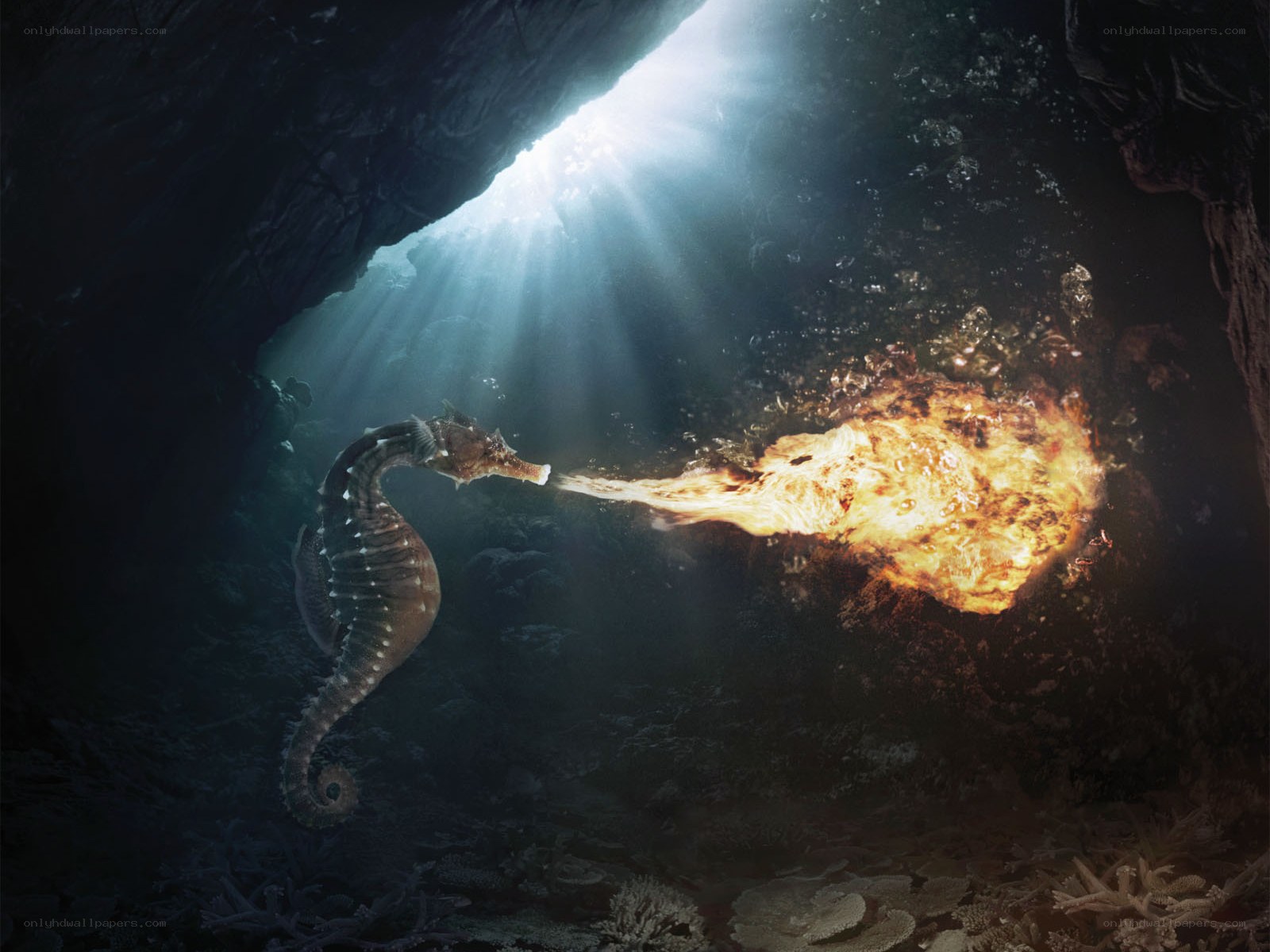 Seahorse breathing fire underwater