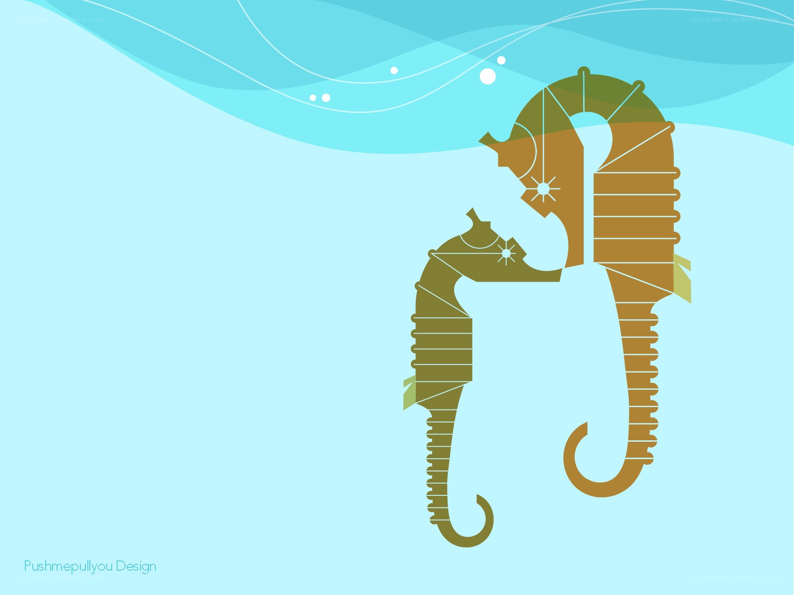 Seahorse couple illustration