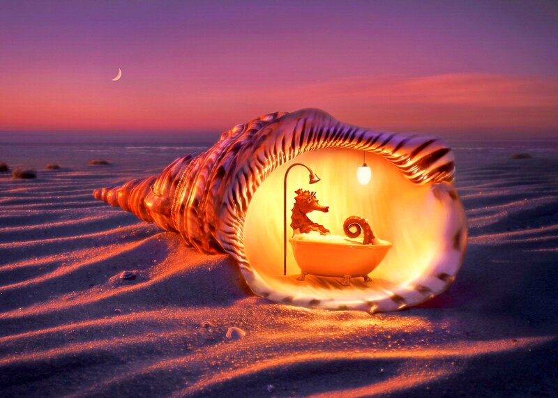Seahorse in Bathtub