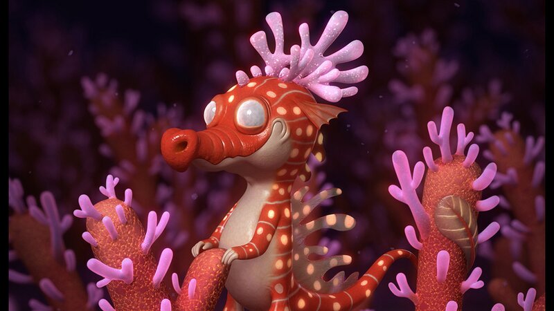 seahorse in coral reef