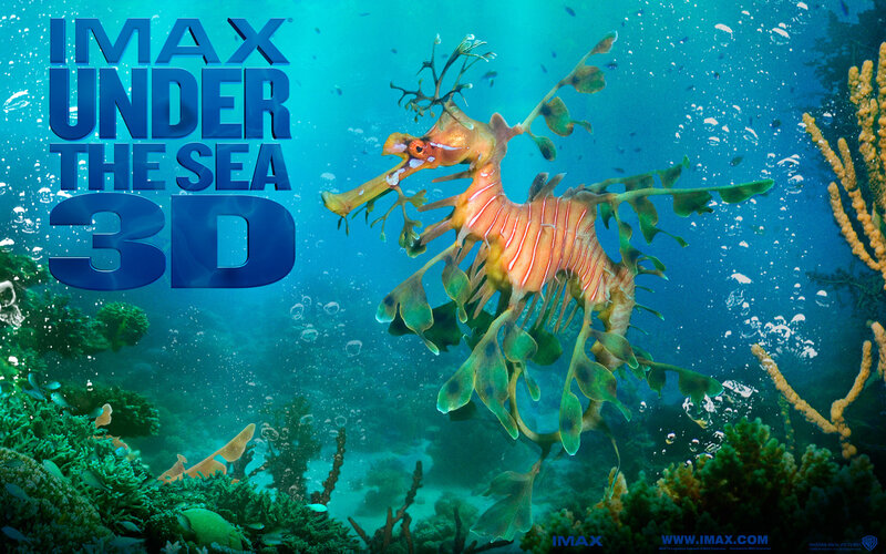 Seahorse in underwater scene