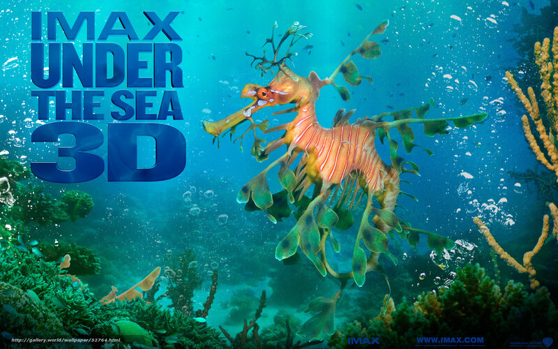 Seahorse in underwater scene