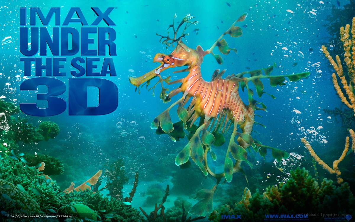 Seahorse in underwater scene