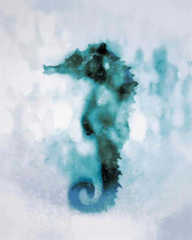 seahorse in watercolor