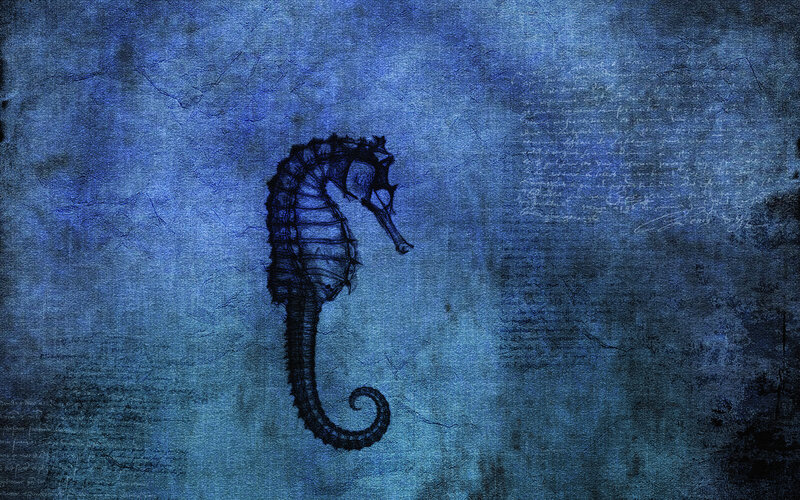 seahorse on blue textured background