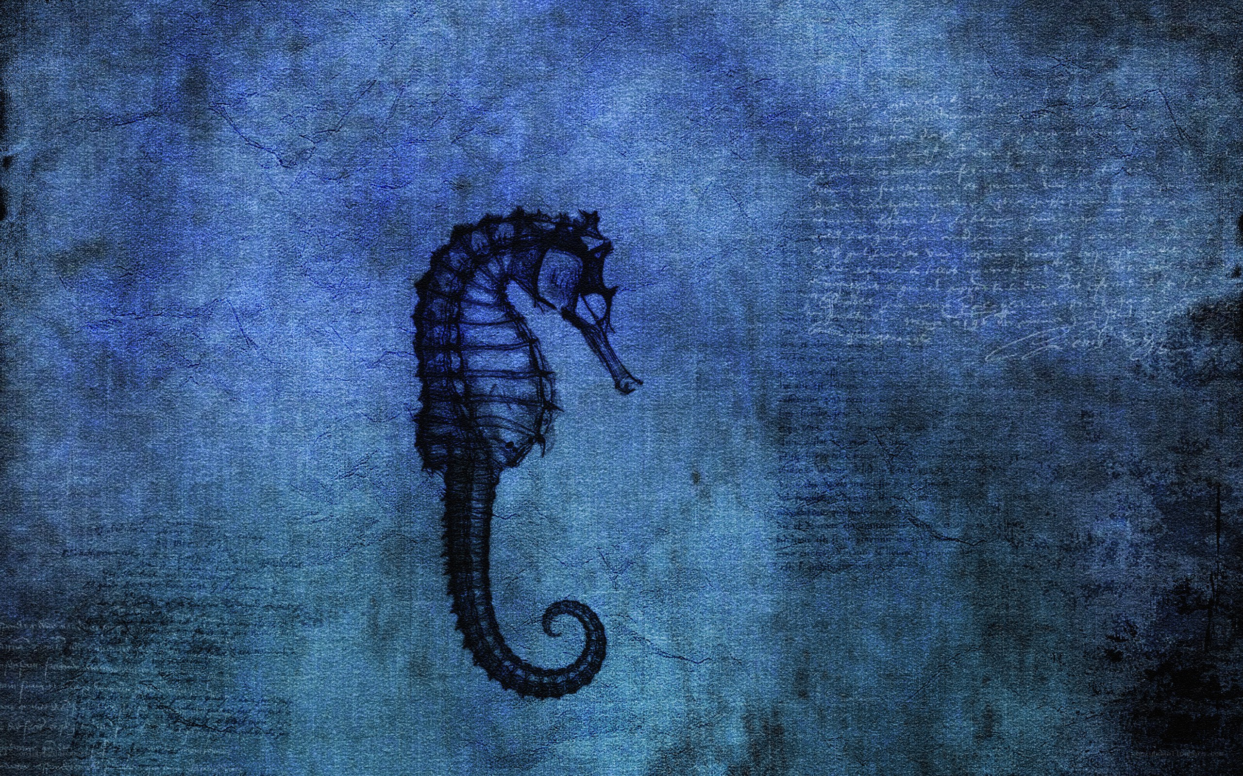 seahorse on blue textured background