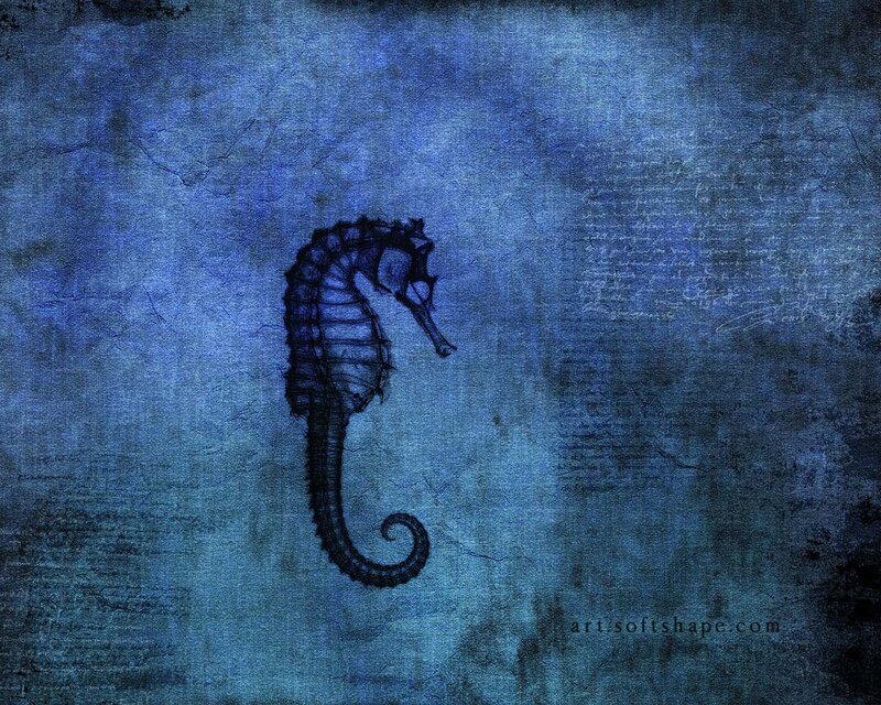 Seahorse on textured blue background