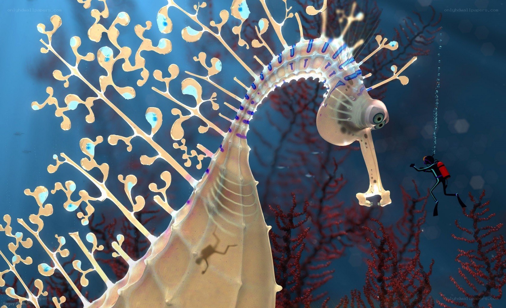 Seahorse with diver